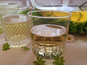 So lecker im Mai: Maibowle mit Waldmeister